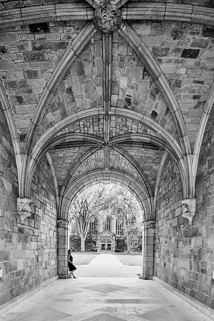 A Black and White (gray scale) phot of a stone archway that opens out onto a college courtyard. A girl leans against the stones of the archway which makes her appear as the size of a small animal in the picture. 