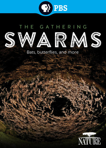 The black DVD cover features a dense swarm of bats in a cave entrance.