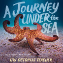 Image for "A Journey Under the Sea"