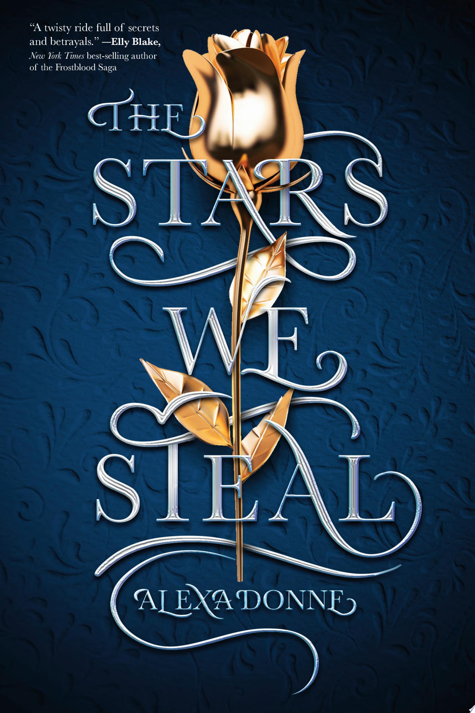 Image for "The Stars We Steal"