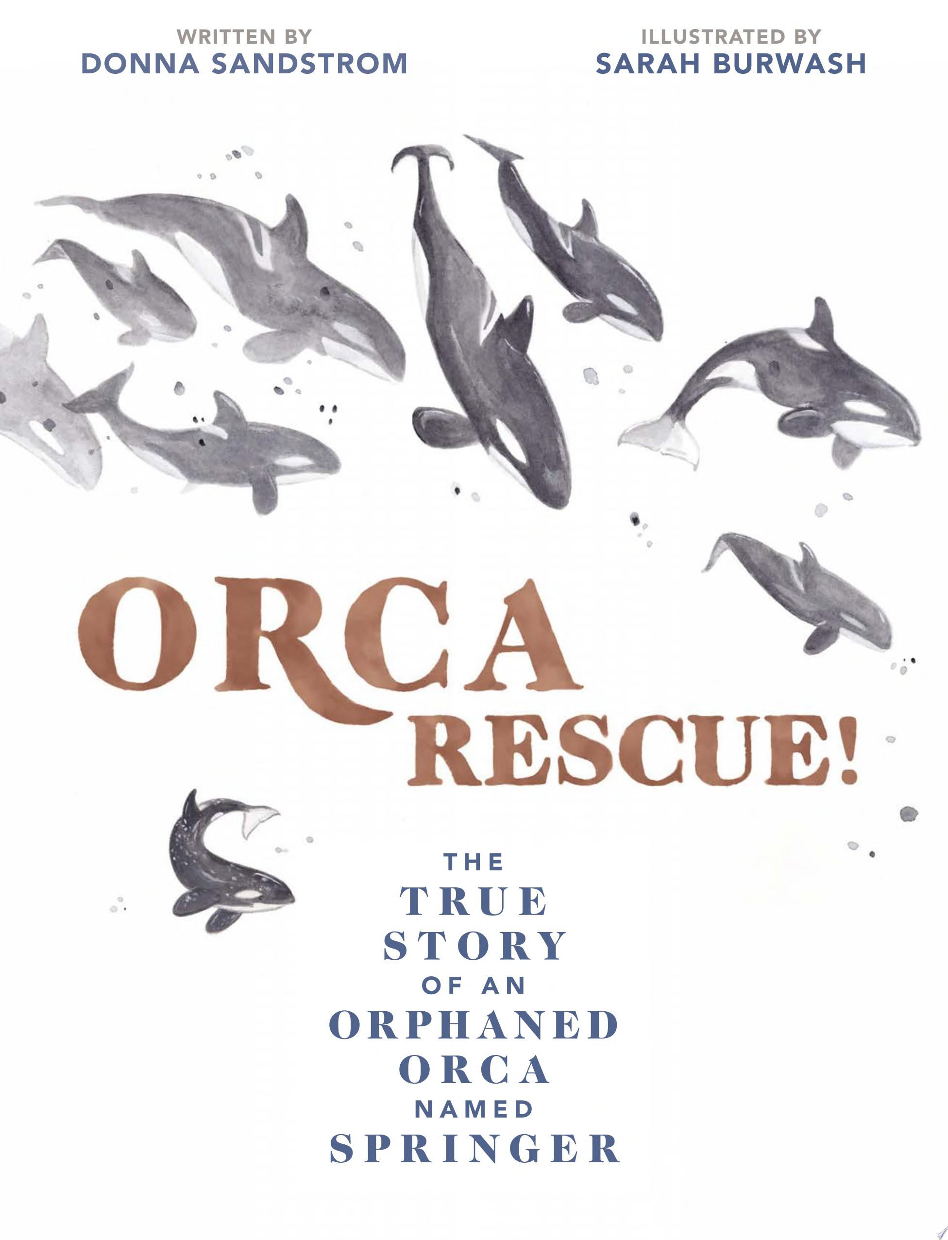 Image for "Orca Rescue!"
