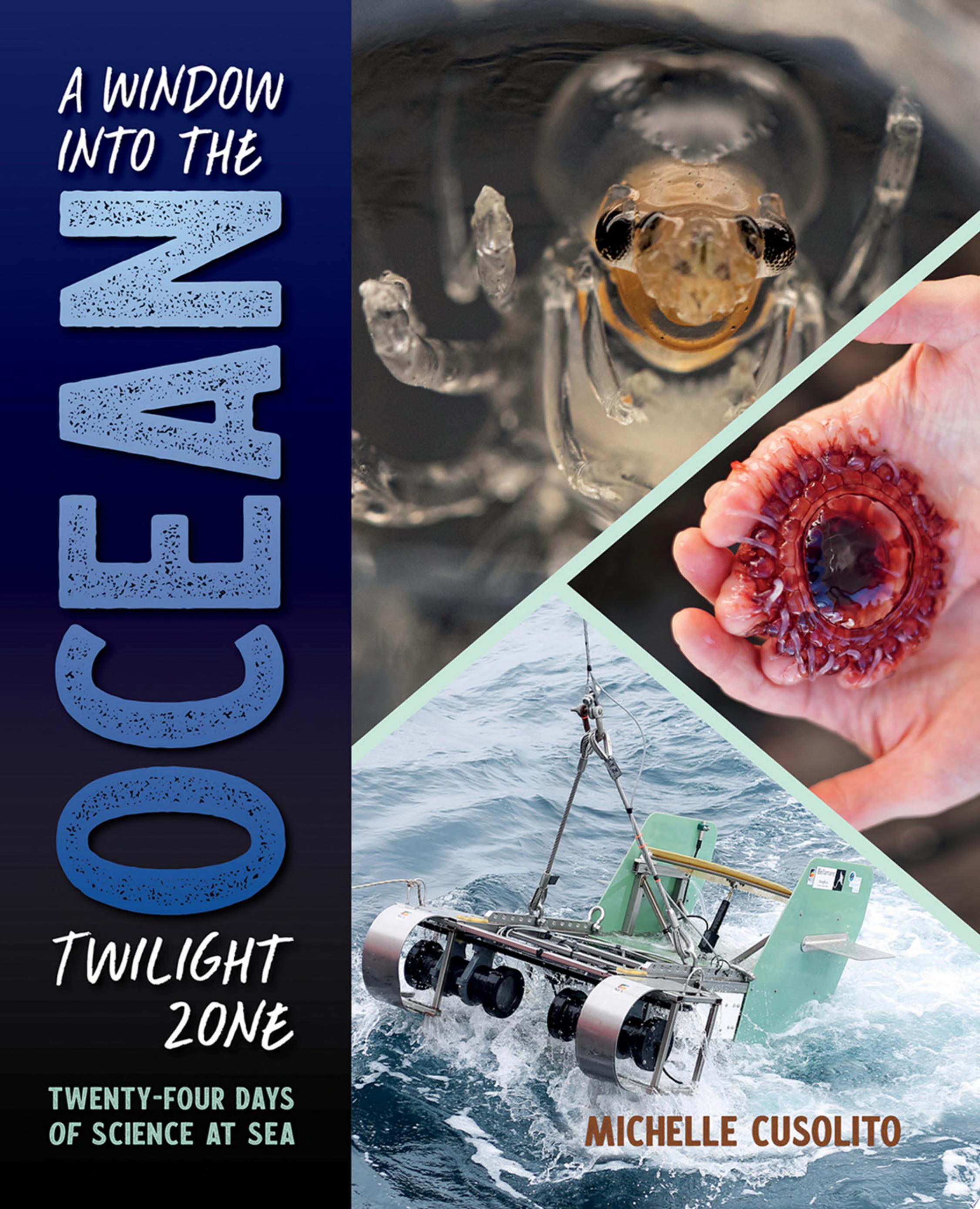 Image for "A Window into the Ocean Twilight Zone"