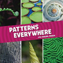 Image for "Patterns Everywhere"