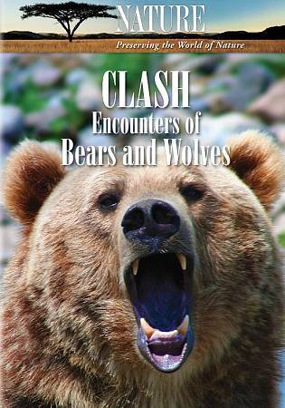 A large brown bear fills the cover of the DVD. Its mouth is open in a warning growl.