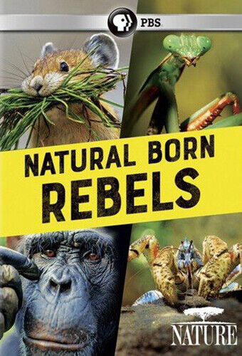 From the Top left to the bottom right, the cover features a hamster with its cheeks stuffed with grass for a dwelling, a praying mantis, a chimpanzee, and a crustacean of shrimp like qualities.