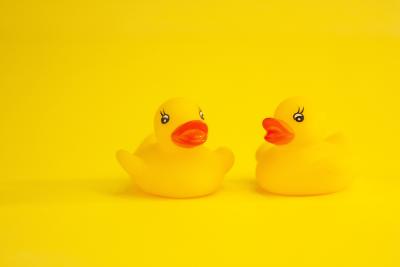 Two yellow rubber ducks sit adjacent to each other against a yellow backdrop.