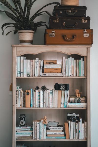 Picture of small bookshelf with books.