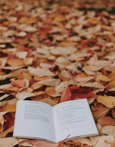 Image of an open book on fall leaves.